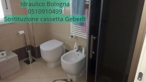 Sostituzione cassetta Geberit Bologna